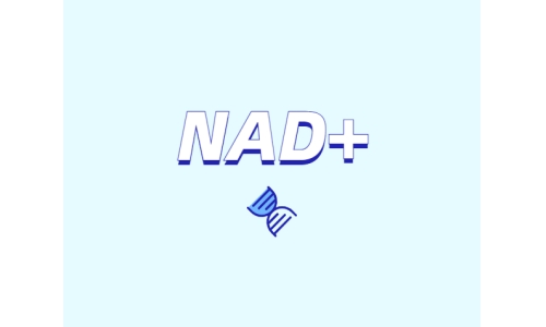 NAD+ 對身體有什么作用？如何獲取 NAD+？